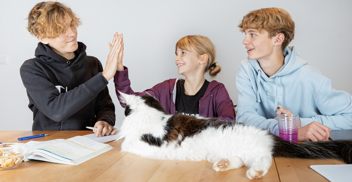 Nachhilfe oder Lerncoaching? Der Unterschied erklärt