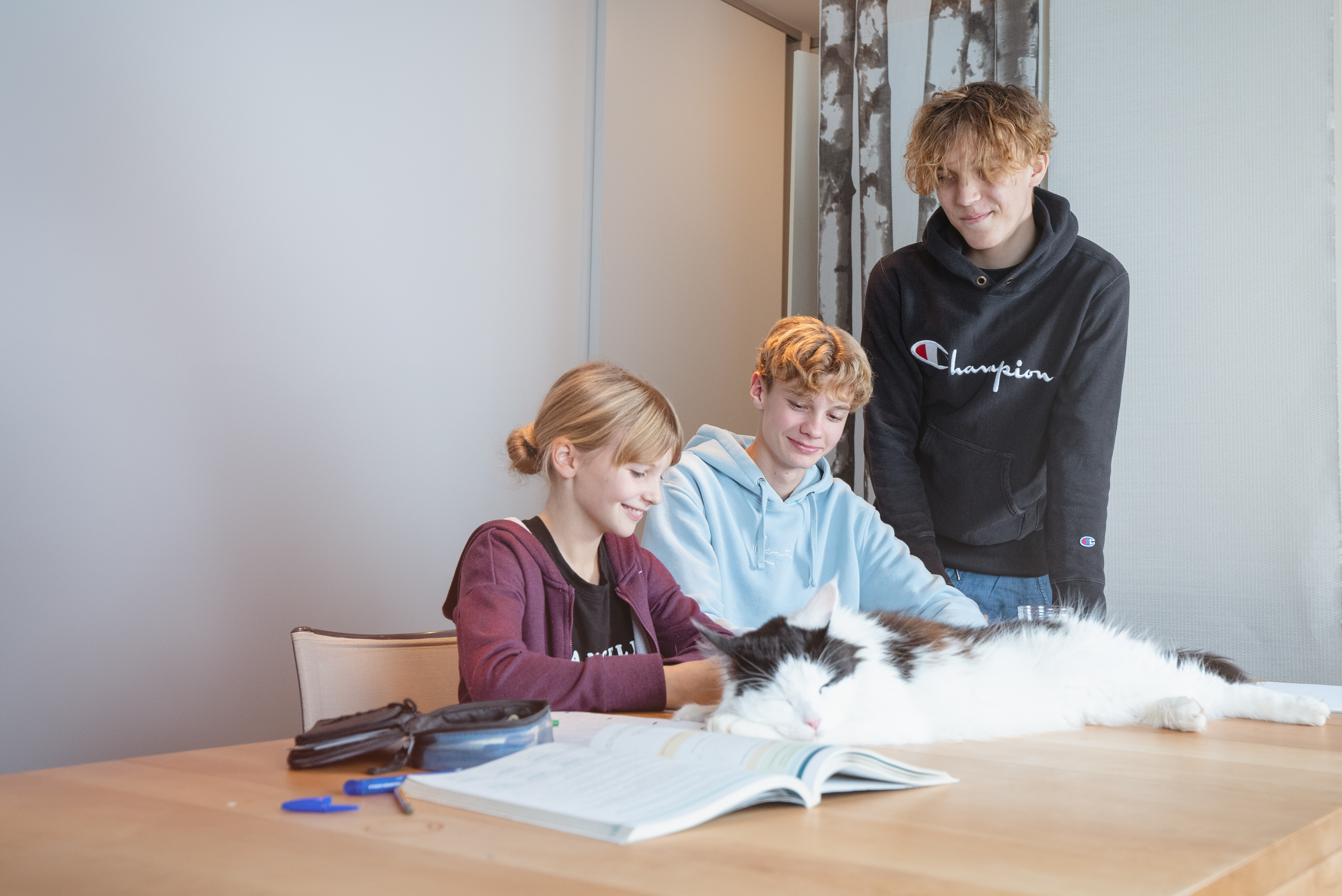 Nachhilfe zum Schulbeginn: Warum jetzt der beste Zeitpunkt ist